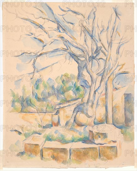 Pistachio Tree at Château Noir, c. 1900. Creator: Paul Cezanne.