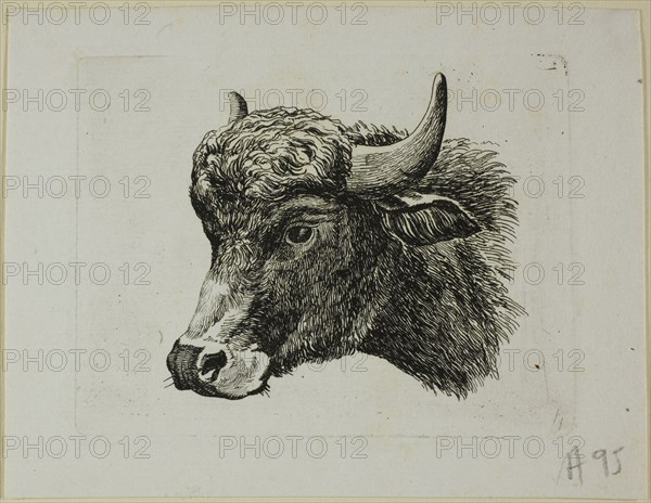 Buffalo Head Facing Left, from Die Zweite Thierfolge, 1799/1803. Creator: Johann Christian Reinhart.
