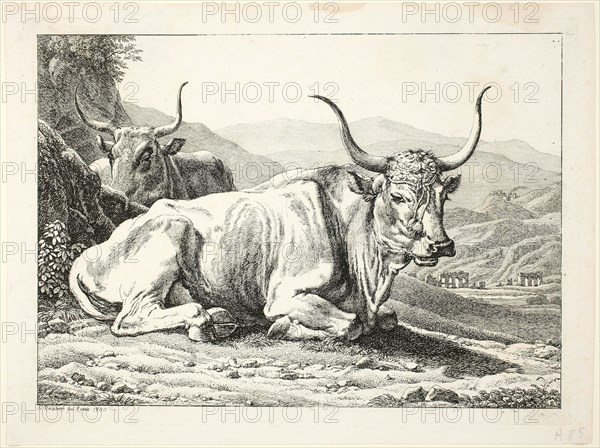 Two Roman Bulls Resting, from Die Zwiete Thierfolge, 1800. Creator: Johann Christian Reinhart.