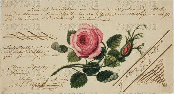 Untitled Valentine (Pink Flower), 1825. Creator: Unknown.