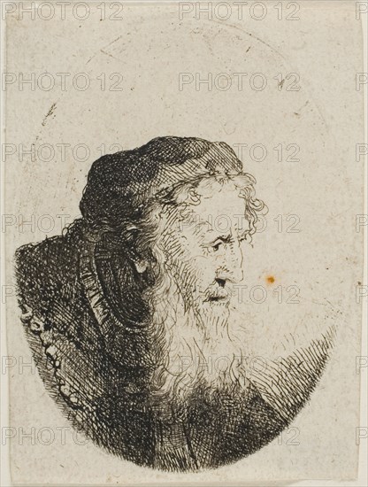 Bearded Old Man in a Skull Cap, n.d. Creator: Ferdinand Bol.