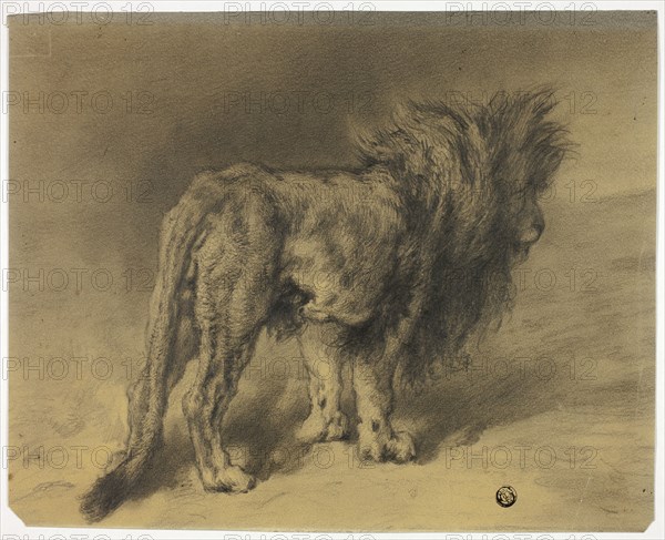 Standing Lion with Shaggy Mane, n.d. Creator: Frederik William Zurcher.