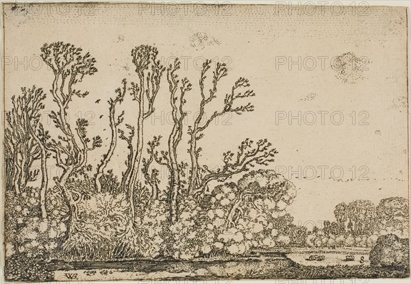 Landscape with Trees, Pond and Sheep, 1621. Creator: Willem Pietersz. Buytewech.