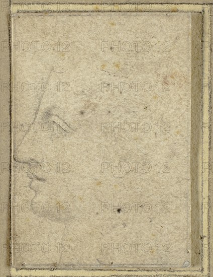 Head of a Youth in Profile to Left, n.d. Creator: Unknown.