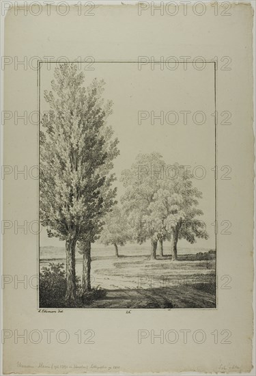 Plate 26 from Blatt Baum und Landschafts Studien, c.1810. Creator: Lorenz Ekemann Alesson.