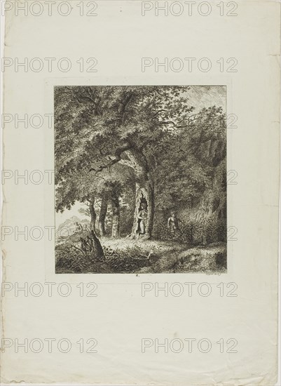 Nymph Hiding in a Tree, plate eight from Paysages Dédiés à M. Warelet, 1764. Creator: Salomon Gessner.