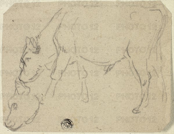 Sketches of Grazing Bull, Cow's Head (recto); Seated Cow in Profile (verso), n.d. Creator: Unknown.