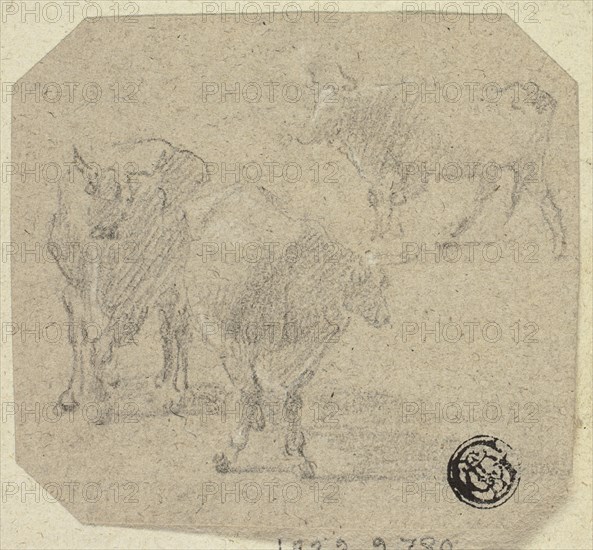 Three Cows, n.d. Creator: Unknown.