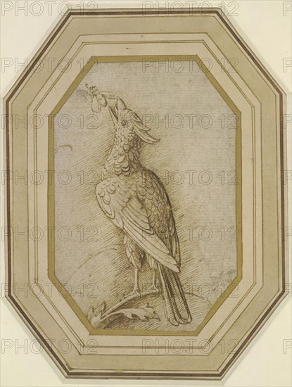 Bird on a Branch, ca. 1470-1480. Creator: Mantegna, Andrea (1431-1506).