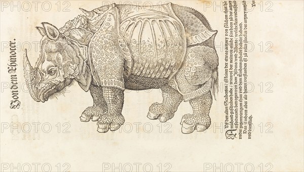 Rhinoceros. From Historia animalium, 1551-1558. Creator: Gesner (Gessner), Conrad (Konrad) (1516-1565).