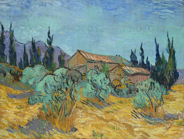Cabanes de bois parmi les oliviers et cyprès (Wooden Cabins among the Olive Trees...), 1889. Creator: Gogh, Vincent, van (1853-1890).