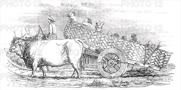 Gujerat Village-Cart, 1850. Creator: Unknown.