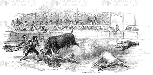 Bull-Fight at Madrid - Accident to Montes, the Matador, 1850. Creator: Unknown.