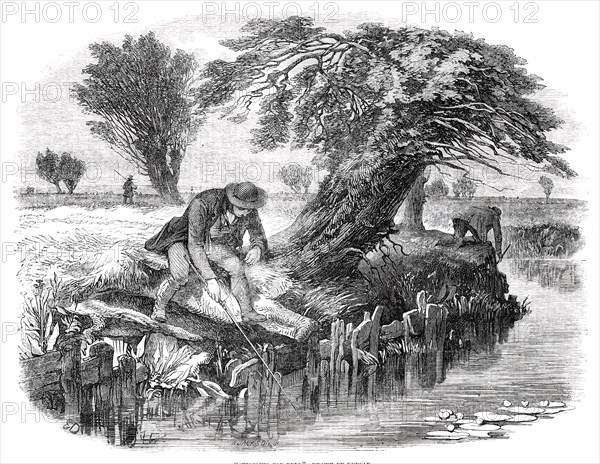 Sniggling for Eels - drawn by Duncan, 1850. Creator: Mason Jackson.