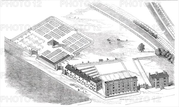 New Cattle-Market, Reading, 1850. Creator: Unknown.