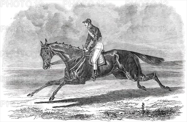 Rhedycina, Winner of the Oaks Stakes, at Epsom, 1850. Creator: Unknown.