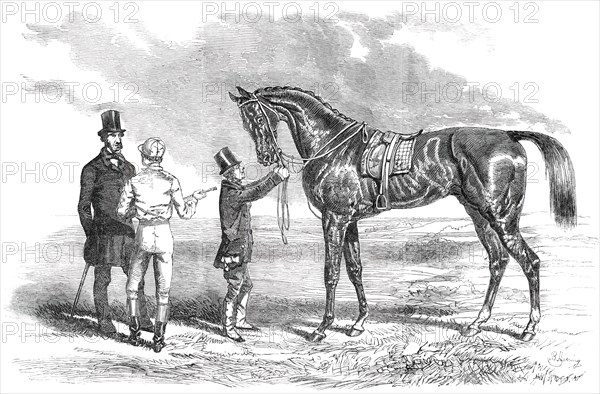 Wanota, Winner of the Ascot Stakes, 1850. Creator: Unknown.