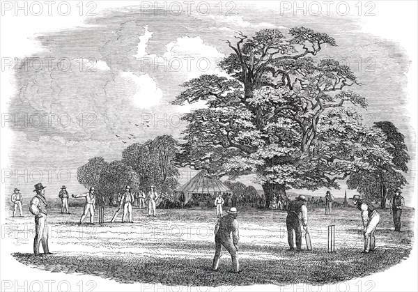 Cricket - drawn by Duncan, 1850. Creator: Duncan.