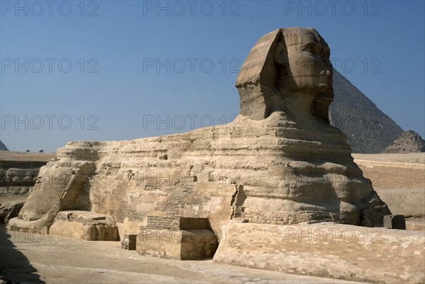 Sphinx, Giza, Egypt, 2007. Creator: Ethel Davies.