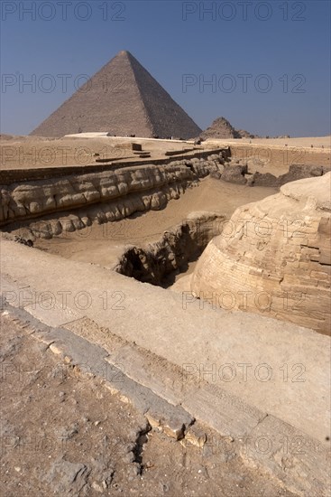 Sphinx, Giza, Egypt, 2007. Creator: Ethel Davies.