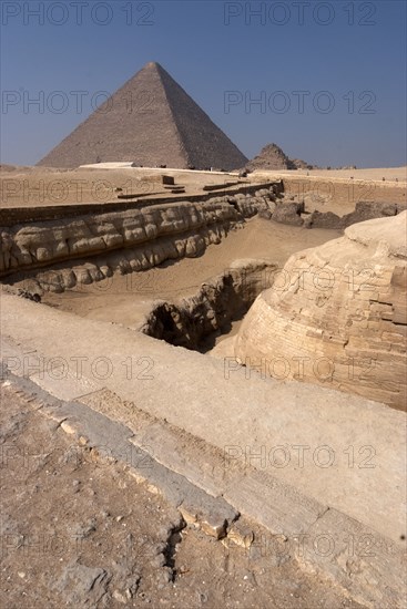 Sphinx, Giza, Egypt, 2007. Creator: Ethel Davies.