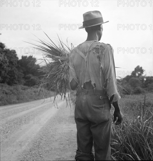 Old time Negro living on cotton patch near Vicksburg, Mississippi, 1936. Creator: Dorothea Lange.