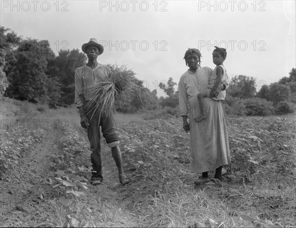 A Mississippi Negro family who live on a cotton patch near Vicksburg, 1936. Creator: Dorothea Lange.