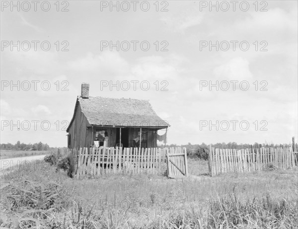 Plantation cotton cabin (Negro), Mississippi Delta, near Vicksburg, 1936. Creator: Dorothea Lange.