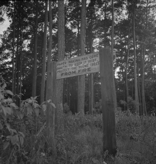 Roadsign, Fullerton, Louisiana, 1937. Creator: Dorothea Lange.