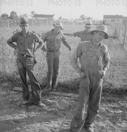 FSA cooperative farm, Lake Dick, Arkansas, 1939. Creator: Dorothea Lange.