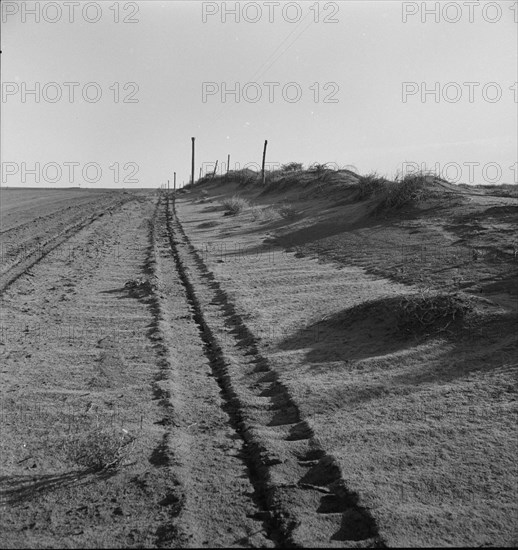 Sand drift along fence, Dust Bowl, north of Dalhart, Texas, 1938. Creator: Dorothea Lange.