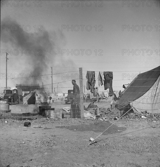 Living conditions for migratory laborers in private auto camp, Calipatria, Imperial County, 1939. Creator: Dorothea Lange.