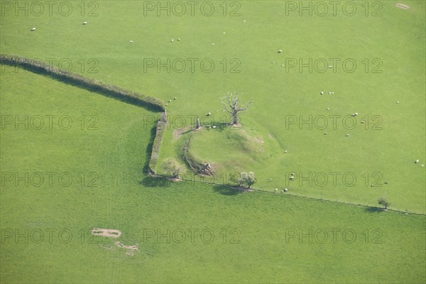 Cothill Tump, a motte castle, Herefordshire, 2016. Creator: Damian Grady.