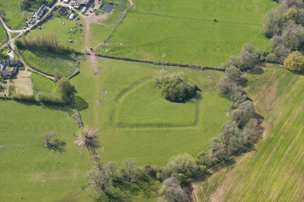 The earthwork remains of Newton Tump, a medieval motte and bailey, Herefordshire, 2016. Creator: Damian Grady.