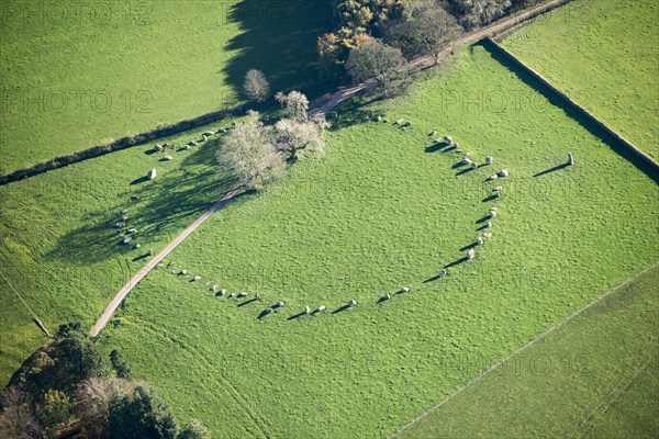 Long Meg and her Daughters, Cumbria, 2017. Creator: Emma Trevarthen.