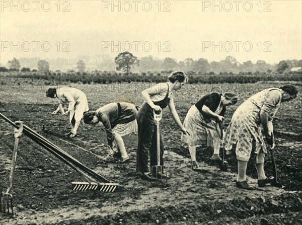 'Digging and Planting', 1943. Creator: Unknown.