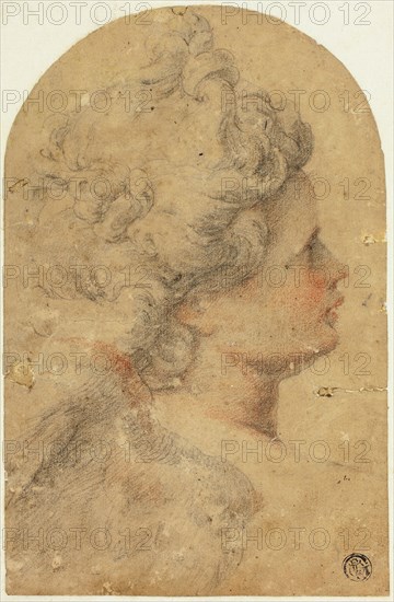 Woman's Profile to Right, n.d. Creator: Camillo Procaccini.