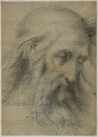 Head of Saint John the Evangelist: Study for the Disputation on the Immaculate..., 1531/36. Creator: Giovanni Antonio Sogliani.