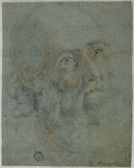 Head of a Bearded Man, Looking Up to Right: Study for Saint Catherine of Alexandria..., c.1603. Creator: Ludovico Cardi.