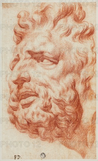 Head of Laocoon, n.d. Creator: Pietro Dandini.