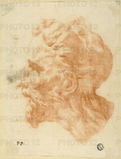 Head of Bearded Man in Profile to Left, n.d. Creator: Pietro Dandini.