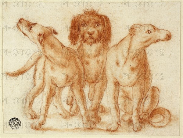 Three Dogs, n.d. Creator: Unknown.