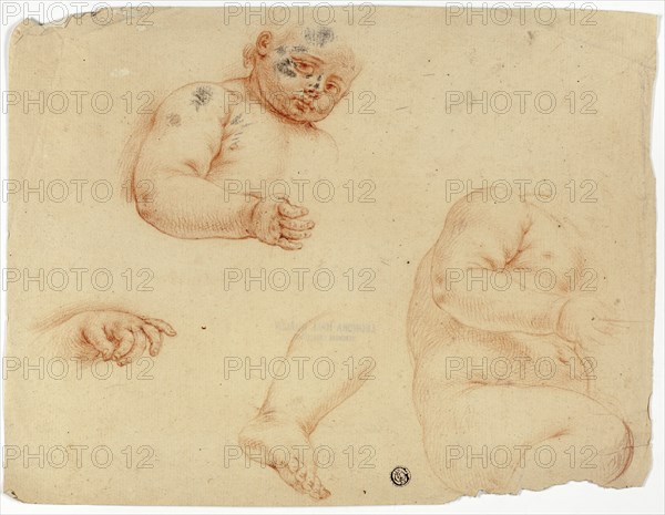 Sketches of a Child:  Half-Length, Torso, Foot, Hand, 1700/1799. Creator: Unknown.