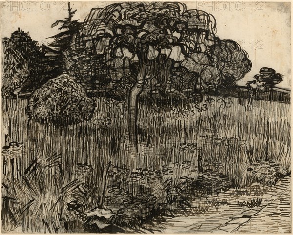Weeping Tree, 1889. Creator: Vincent van Gogh.