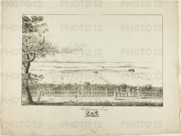 View of Mulhouse, 1810, printed 1814/16. Creator: Mathieu Mieg.