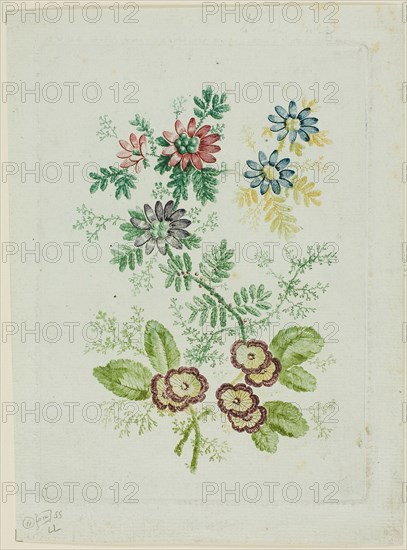 Flowers, 1796/1808. Creator: Anne Allen.