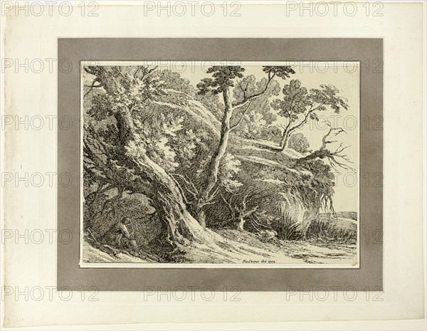 Landscape with Large Trees, from the first issue of Specimens of Polyautography, 1802. Creator: Richard Cooper.
