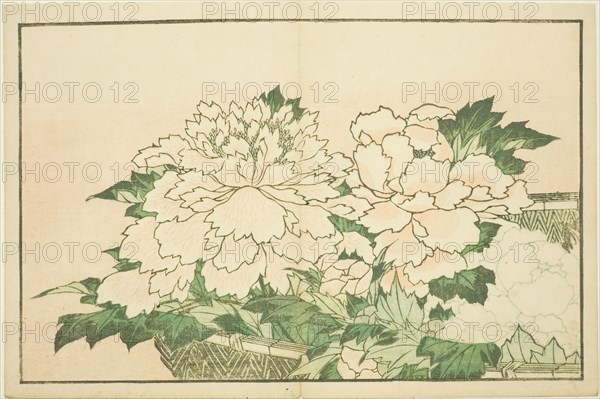 Chrysanthemums in a Basket, from The Picture Book of Realistic Paintings of Hokusai..., c. 1814. Creator: Hokusai.