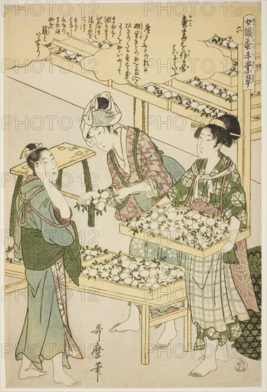 No. 6 (roku), from the series "Women Engaged in the Sericulture Industry (Joshoku..., c1798/1800. Creator: Kitagawa Utamaro.