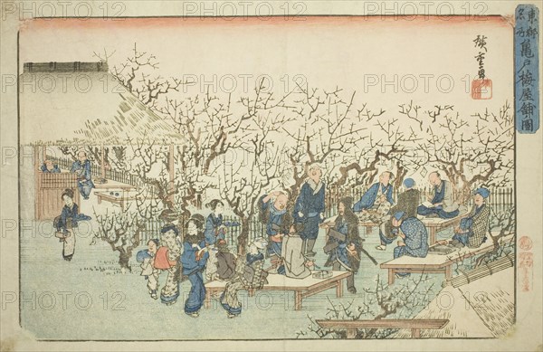 The Plum Garden at Komeido (Kameido ume yashiki no zu), from the series "Famous..., c. 1832/38. Creator: Ando Hiroshige.